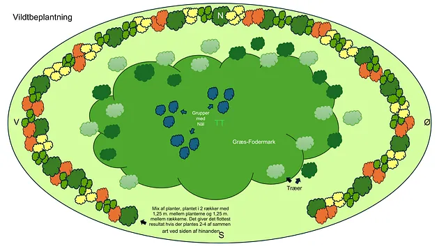 Vildtbeplantning
